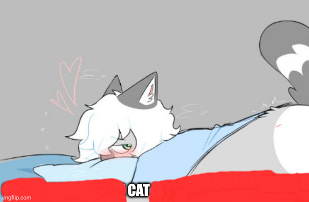 cat | image tagged in what a cute cat | made w/ Imgflip meme maker