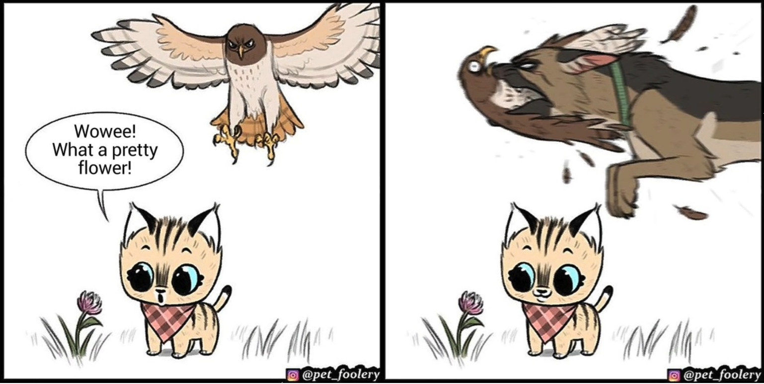 High Quality Brutus saving Pixie from an eagle Blank Meme Template