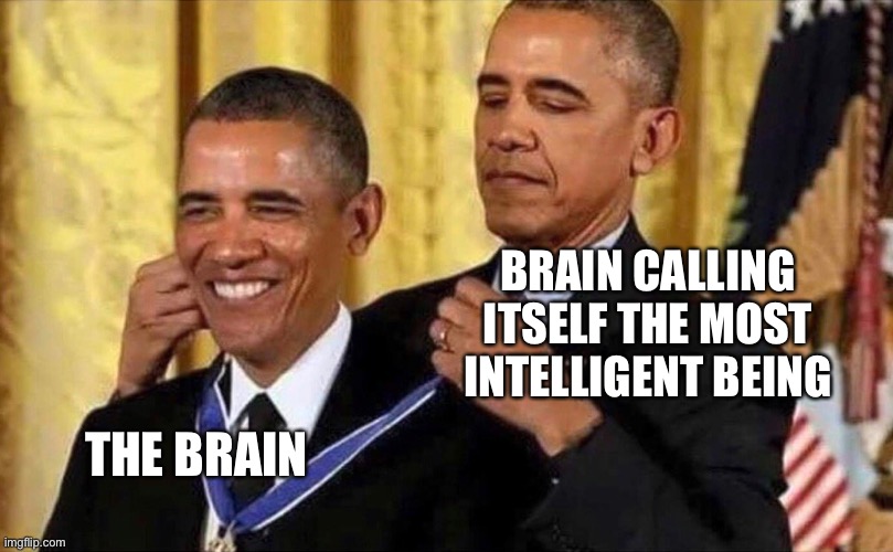 MorBRAIN time | BRAIN CALLING ITSELF THE MOST INTELLIGENT BEING; THE BRAIN | image tagged in obama medal | made w/ Imgflip meme maker