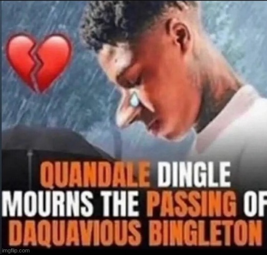 Quandale Dingle mourns the passing of Daquavious Bingleton | image tagged in quandale dingle mourns the passing of daquavious bingleton | made w/ Imgflip meme maker