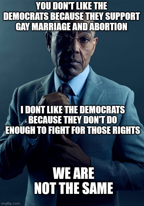 Gus Fring we are not the same | YOU DON'T LIKE THE DEMOCRATS BECAUSE THEY SUPPORT GAY MARRIAGE AND ABORTION; I DONT LIKE THE DEMOCRATS BECAUSE THEY DON'T DO ENOUGH TO FIGHT FOR THOSE RIGHTS; WE ARE NOT THE SAME | image tagged in gus fring we are not the same | made w/ Imgflip meme maker