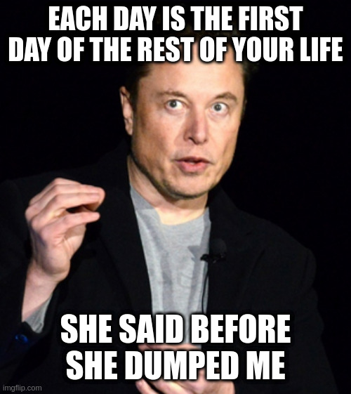 musk |  EACH DAY IS THE FIRST DAY OF THE REST OF YOUR LIFE; SHE SAID BEFORE SHE DUMPED ME | image tagged in musk | made w/ Imgflip meme maker