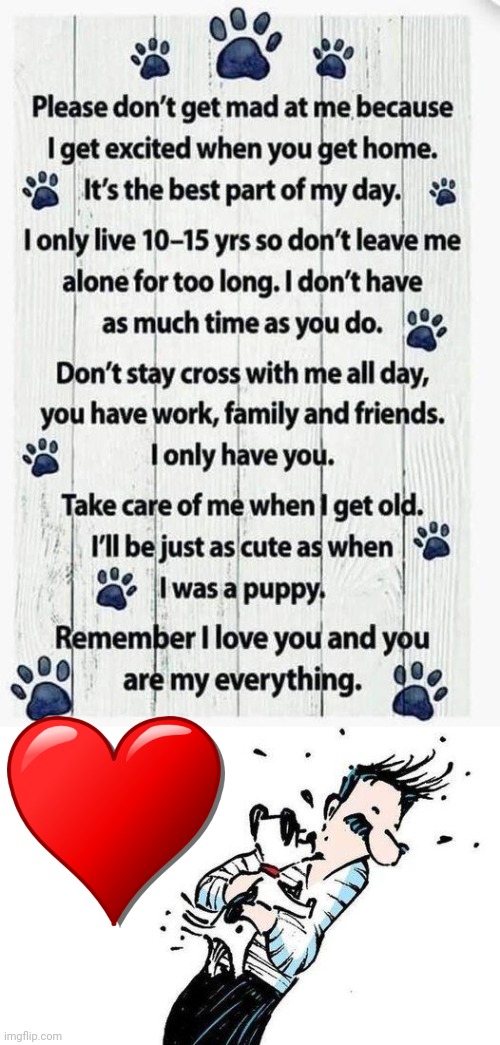 Love Your Dog | image tagged in dogs | made w/ Imgflip meme maker