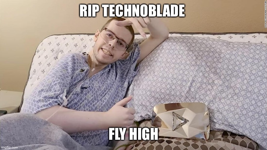 you will be remembered by all.. | RIP TECHNOBLADE; FLY HIGH | image tagged in technoblade,cancer | made w/ Imgflip meme maker