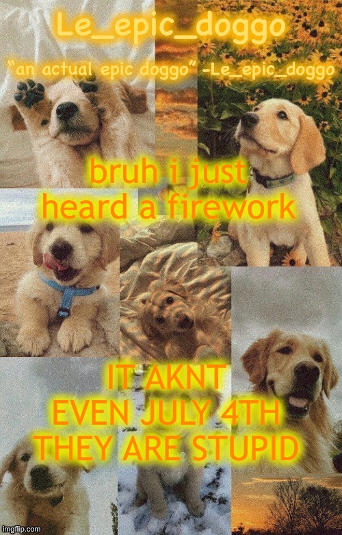 Doggo temp by doggo. Wait what that’s confusing | bruh i just heard a firework; IT AKNT EVEN JULY 4TH THEY ARE STUPID | image tagged in doggo temp by doggo wait what that s confusing | made w/ Imgflip meme maker