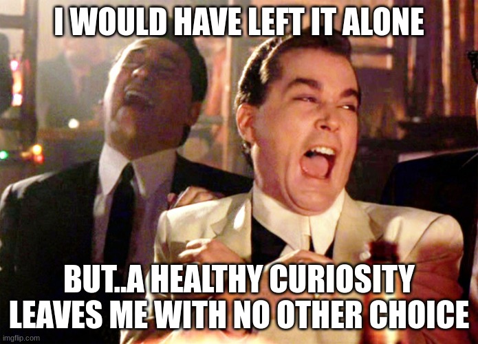 Oload. | I WOULD HAVE LEFT IT ALONE; BUT..A HEALTHY CURIOSITY LEAVES ME WITH NO OTHER CHOICE | image tagged in memes,good fellas hilarious | made w/ Imgflip meme maker