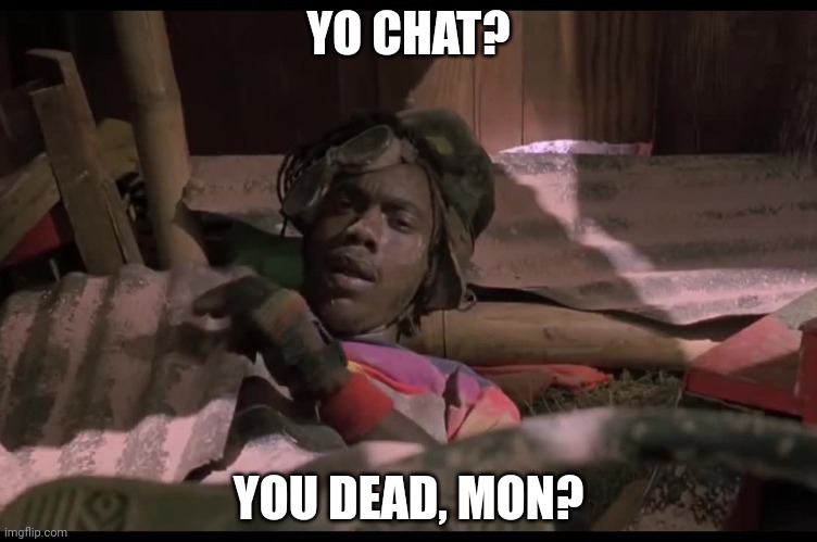 Sanka, you dead? | YO CHAT? YOU DEAD, MON? | image tagged in sanka you dead | made w/ Imgflip meme maker
