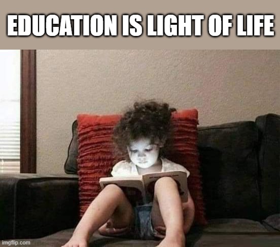Light from education | EDUCATION IS LIGHT OF LIFE | image tagged in funny,educational | made w/ Imgflip meme maker