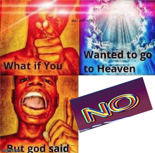 no | image tagged in what if you wanted to go to heaven | made w/ Imgflip meme maker