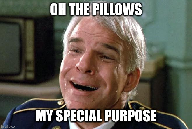tears of joy steve martin | OH THE PILLOWS; MY SPECIAL PURPOSE | image tagged in tears of joy steve martin | made w/ Imgflip meme maker