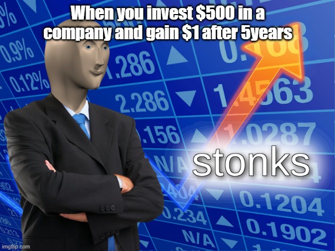 Stonks | When you invest $500 in a company and gain $1 after 5years | image tagged in stonks | made w/ Imgflip meme maker