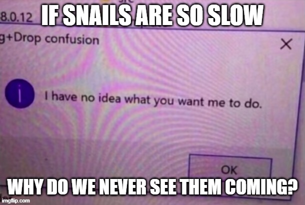 My brain broke | IF SNAILS ARE SO SLOW; WHY DO WE NEVER SEE THEM COMING? | image tagged in i have no idea what you want me to do | made w/ Imgflip meme maker