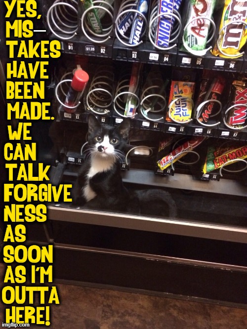 Please help! My Candy Curiosity has turned to Snack Hell | YES,          
MIS-           
TAKES      
HAVE        
BEEN         
MADE.       
WE           
CAN           
TALK        
FORGIVE-    
NESS         
AS             
SOON        
AS I'M        
OUTTA       
HERE! — | image tagged in vince vance,cats,vending machine,funny cat memes,meow,i love cats | made w/ Imgflip meme maker
