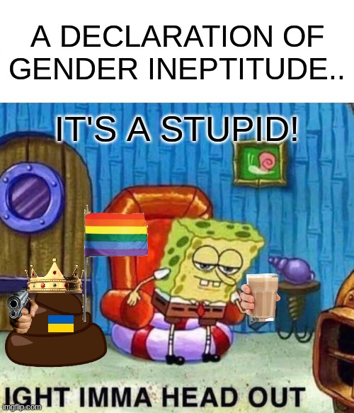 Don't forget to flachat! | A DECLARATION OF GENDER INEPTITUDE.. IT'S A STUPID! | image tagged in memes,spongebob ight imma head out | made w/ Imgflip meme maker