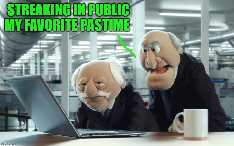 STREAKING IN PUBLIC
MY FAVORITE PASTIME | image tagged in muppets | made w/ Imgflip meme maker