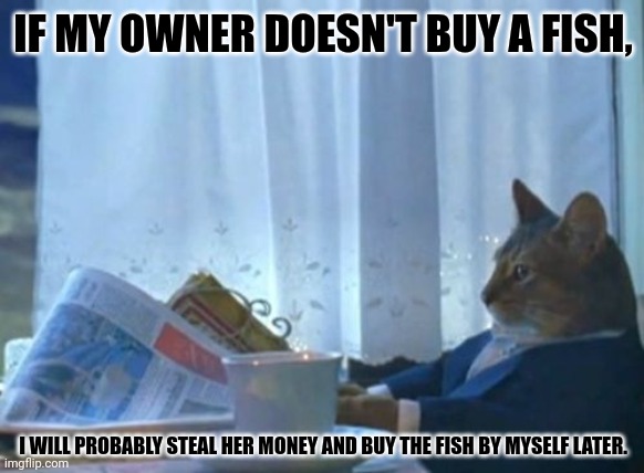 I Should Buy A Boat Cat Meme | IF MY OWNER DOESN'T BUY A FISH, I WILL PROBABLY STEAL HER MONEY AND BUY THE FISH BY MYSELF LATER. | image tagged in memes,kitten,fishy | made w/ Imgflip meme maker