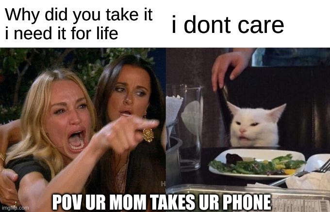 fax | Why did you take it 
i need it for life; i dont care; POV UR MOM TAKES UR PHONE | image tagged in memes,woman yelling at cat | made w/ Imgflip meme maker