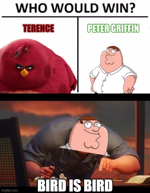 BIRD IS BIRD | image tagged in math is math,family guy,angry birds | made w/ Imgflip meme maker