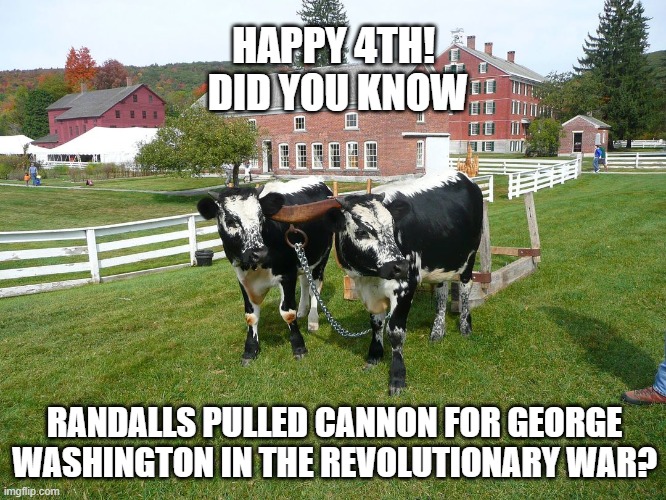 Randall oxen | HAPPY 4TH!
 DID YOU KNOW; RANDALLS PULLED CANNON FOR GEORGE WASHINGTON IN THE REVOLUTIONARY WAR? | image tagged in historical meme | made w/ Imgflip meme maker