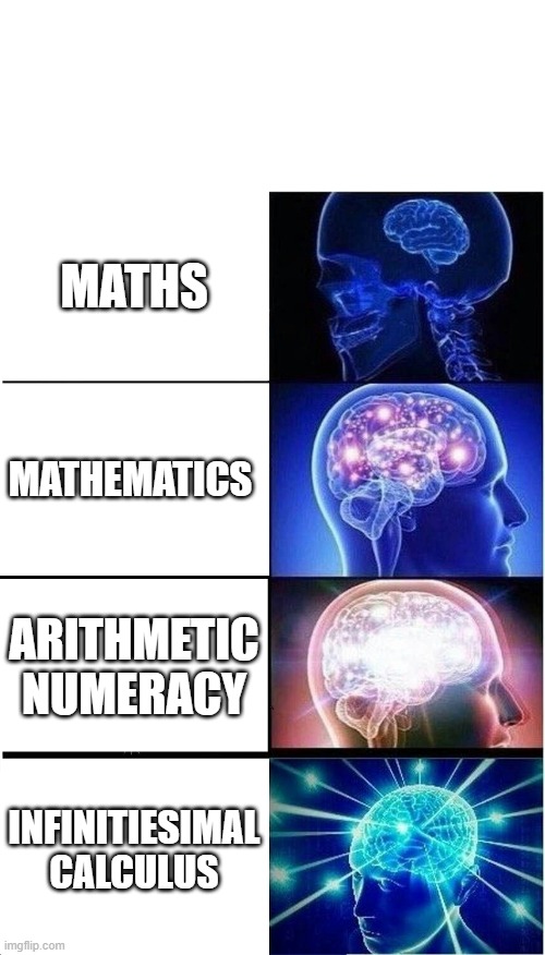 people who say | MATHS; MATHEMATICS; ARITHMETIC NUMERACY; INFINITIESIMAL CALCULUS | image tagged in memes,expanding brain | made w/ Imgflip meme maker