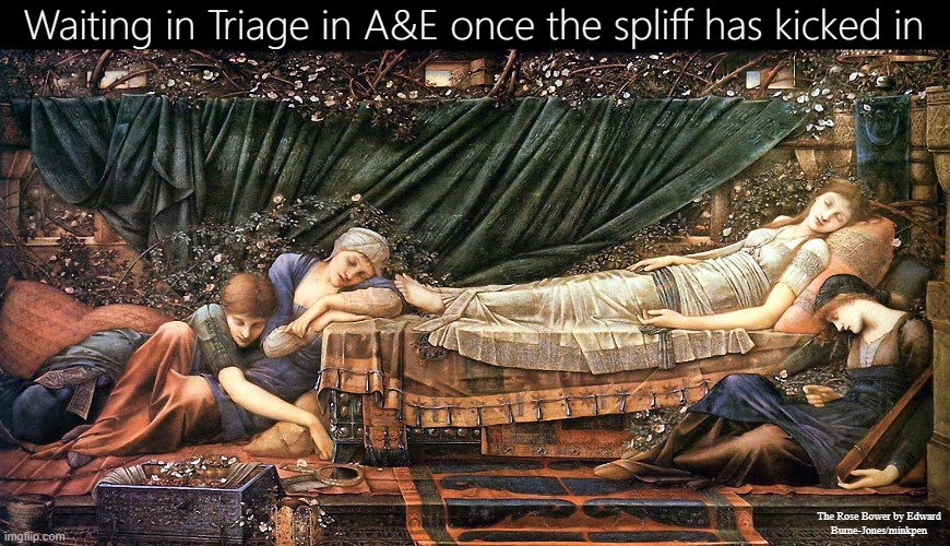 Triage | Waiting in Triage in A&E once the spliff has kicked in; The Rose Bower by Edward
Burne-Jones/minkpen | image tagged in art memes,triage,hospital,cannabis,waiting,pre-raphaelites | made w/ Imgflip meme maker