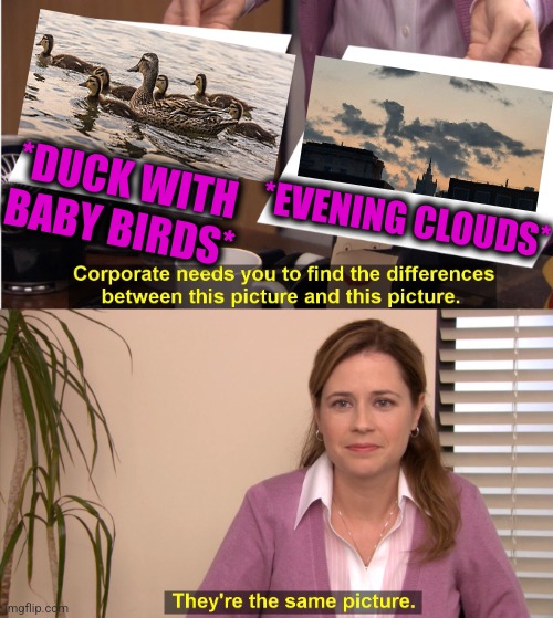 -Swimming at sky. |  *DUCK WITH BABY BIRDS*; *EVENING CLOUDS* | image tagged in memes,they're the same picture,daffy duck,birds of a feather,soundcloud,babysitter | made w/ Imgflip meme maker