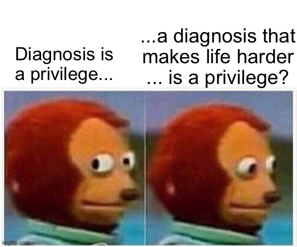 A diagnosed mental disorder? Not a privilege! | ...a diagnosis that
makes life harder
... is a privilege? Diagnosis is a privilege... | image tagged in dissociative identity disorder,osdd,privilege,diagnosis is not a privilege,mental health,psychiatric survivors | made w/ Imgflip meme maker