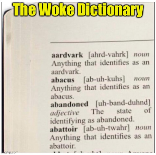 This meme identifies itself as popular | The Woke Dictionary | image tagged in woke,liberal logic | made w/ Imgflip meme maker