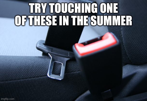 TRY TOUCHING ONE OF THESE IN THE SUMMER | made w/ Imgflip meme maker