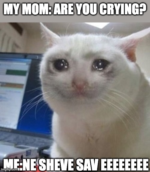 Crying cat | MY MOM: ARE YOU CRYING? ME:NE SHEVE SAV EEEEEEEE | image tagged in crying cat | made w/ Imgflip meme maker