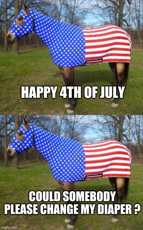 May the Horse Be With you | HAPPY 4TH OF JULY; COULD SOMEBODY PLEASE CHANGE MY DIAPER ? | image tagged in 4th of july,horse,psy horse dance,diaper,poop,happy holidays | made w/ Imgflip meme maker