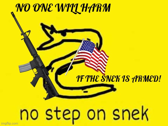 I've got no idea what's going on | NO ONE WILL HARM; IF THE SNEK IS ARMED! | image tagged in no step on snek,snek,but why tho | made w/ Imgflip meme maker