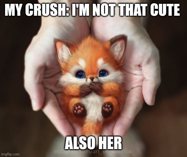 MY CRUSH: I'M NOT THAT CUTE; ALSO HER | made w/ Imgflip meme maker