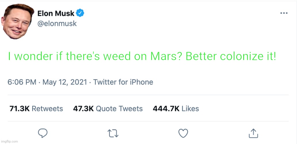 Elon musk loves the herb | I wonder if there's weed on Mars? Better colonize it! | image tagged in elon musk blank tweet,smoke weed everyday,herb | made w/ Imgflip meme maker