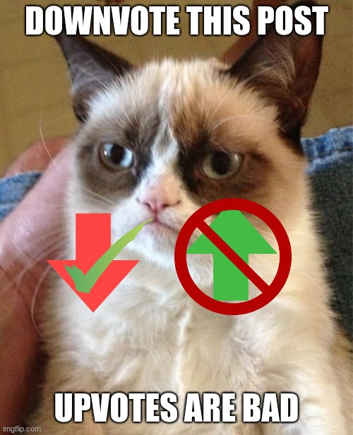 Grumpy Cat | DOWNVOTE THIS POST; UPVOTES ARE BAD | image tagged in downvote,this,post,memes,grumpy cat,cat memes | made w/ Imgflip meme maker