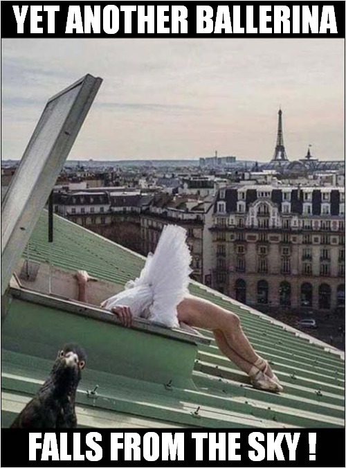 Parisian Pigeon Confused | YET ANOTHER BALLERINA; FALLS FROM THE SKY ! | image tagged in ballerina,paris,falling,pigeon,dark humour | made w/ Imgflip meme maker