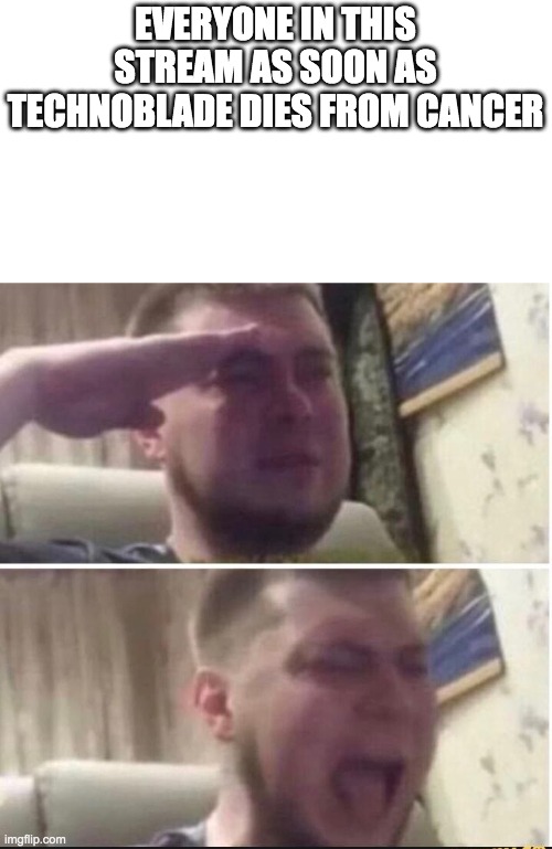Crying salute | EVERYONE IN THIS STREAM AS SOON AS TECHNOBLADE DIES FROM CANCER | image tagged in crying salute | made w/ Imgflip meme maker