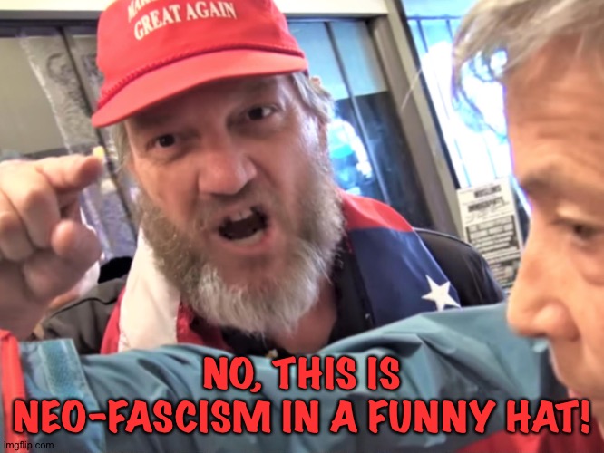 Angry Trump Supporter | NO, THIS IS NEO-FASCISM IN A FUNNY HAT! | image tagged in angry trump supporter | made w/ Imgflip meme maker