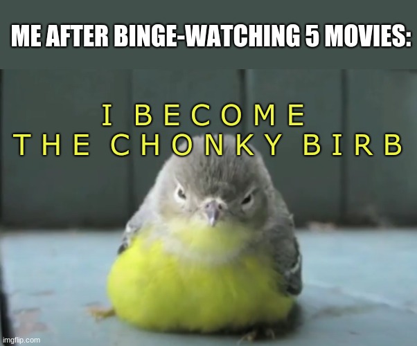 :> |  ME AFTER BINGE-WATCHING 5 MOVIES:; I  B E C O M E  
T H E  C H O N K Y  B I R B | image tagged in chonky bird,new meme | made w/ Imgflip meme maker
