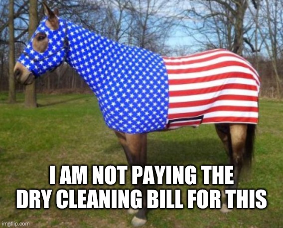  I AM NOT PAYING THE DRY CLEANING BILL FOR THIS | image tagged in 4th of july,horse,psy horse dance,poop,dirty laundry,expensive | made w/ Imgflip meme maker