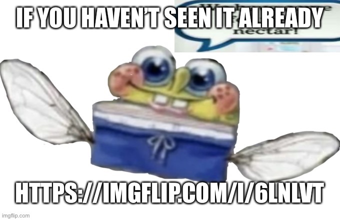 https://imgflip.com/i/6lnlvt | IF YOU HAVEN’T SEEN IT ALREADY; HTTPS://IMGFLIP.COM/I/6LNLVT | image tagged in spongebob nectar | made w/ Imgflip meme maker