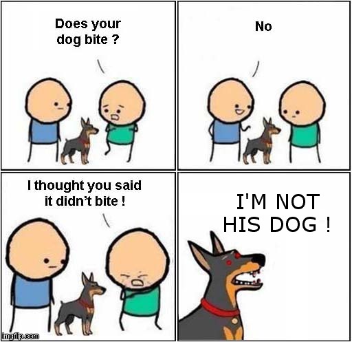 He Wasn't Lying ! | I'M NOT HIS DOG ! | image tagged in does your dog bite,fun,dogs | made w/ Imgflip meme maker