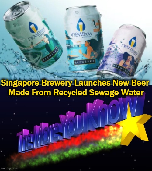 PSA: Something You Might Want to Avoid.... |  Singapore Brewery Launches New Beer 
Made From Recycled Sewage Water | image tagged in fun,psa,good advice,lol,wth,hmm | made w/ Imgflip meme maker