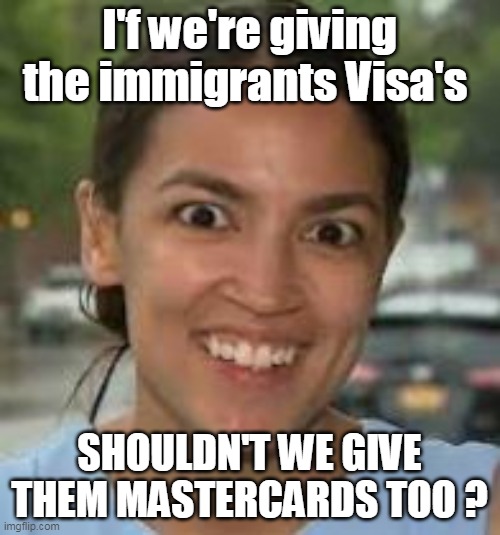 I'f we're giving the immigrants Visa's SHOULDN'T WE GIVE THEM MASTERCARDS TOO ? | made w/ Imgflip meme maker