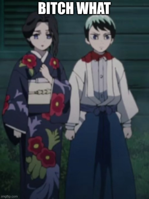 my brother just ran into a wall and now his knee is bleeding- how tf- | image tagged in bitch wtf did you just say | made w/ Imgflip meme maker