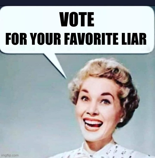 VOTE; FOR YOUR FAVORITE LIAR | image tagged in vote,fraud,politics,political correctness,liar liar,illusion | made w/ Imgflip meme maker