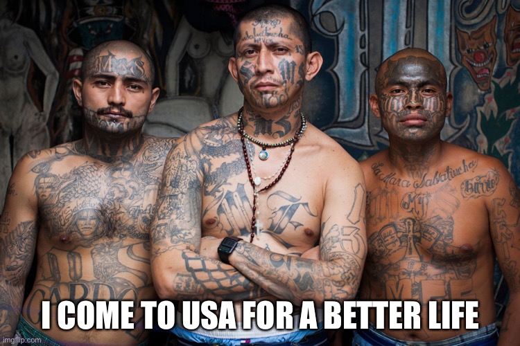 MS-13 | I COME TO USA FOR A BETTER LIFE | image tagged in ms-13 | made w/ Imgflip meme maker