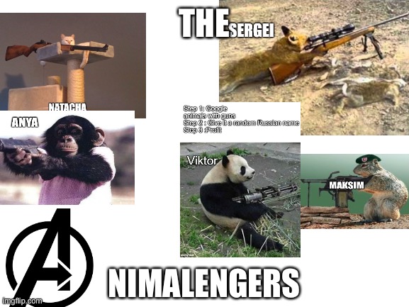 Blank White Template | THE NIMALENGERS | image tagged in blank white template | made w/ Imgflip meme maker
