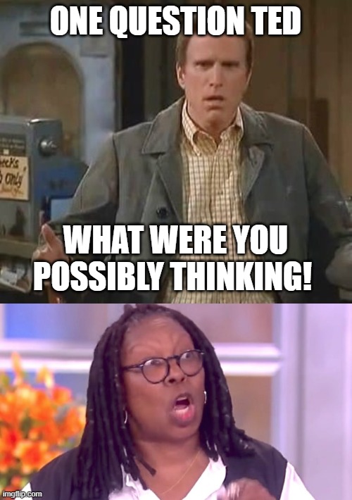 ONE QUESTION TED; WHAT WERE YOU POSSIBLY THINKING! | image tagged in exasperated becker,deranged whoopi | made w/ Imgflip meme maker