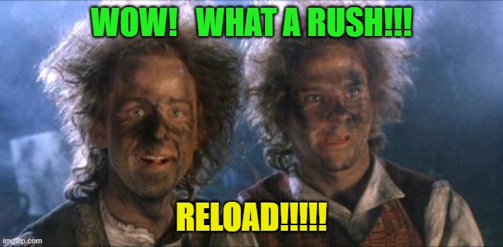 Pippin and Merry after Firework | WOW!   WHAT A RUSH!!! RELOAD!!!!! | image tagged in pippin and merry after firework | made w/ Imgflip meme maker